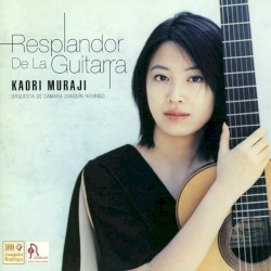 Resplandor de la guitarra