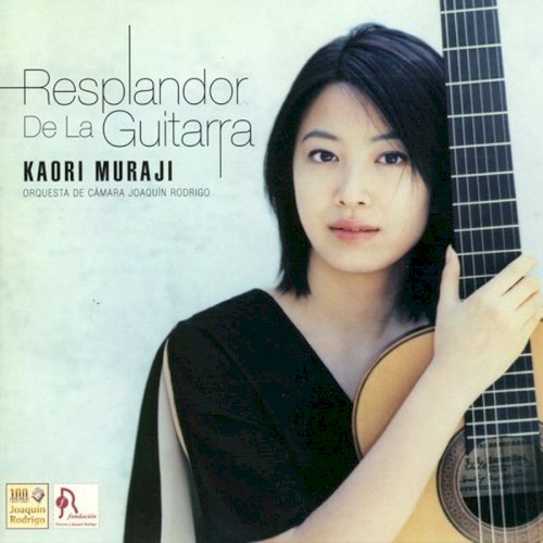 Resplandor de la guitarra