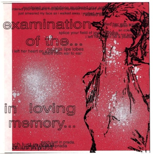 Examination Of The... / In Loving Memory...
