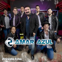 25 grandes éxitos