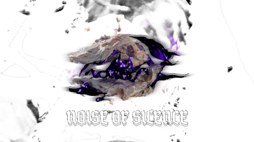 Noise of Silence