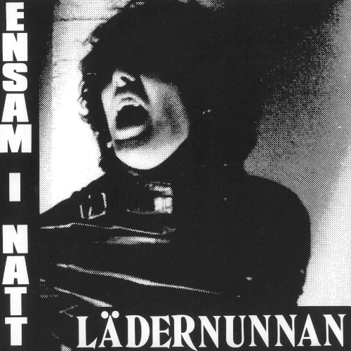 Ensam i natt
