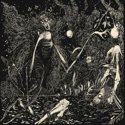 Fuscus: Strings of the Black Lyre