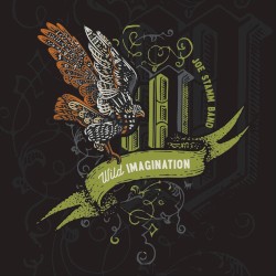Wild Imagination