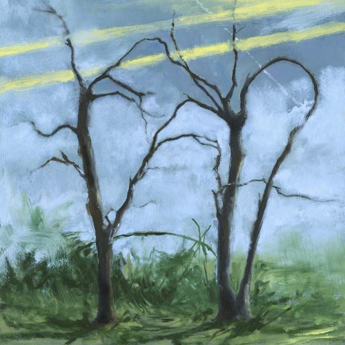 Habit