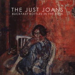 Buckfast Bottles in the Rain