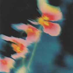 Silence // Into Essence