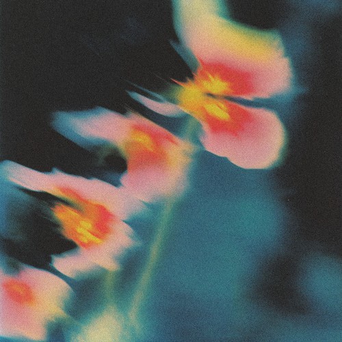 Silence // Into Essence