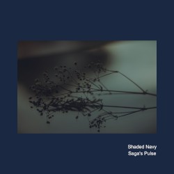 Saga’s Pulse
