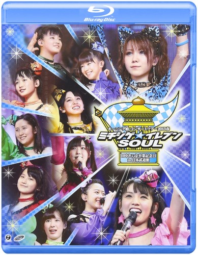 モーニング娘。コンサートツアー2013春 ミチシゲ☆イレブンSOUL 〜田中れいな卒業記念日〜 in日本武道館