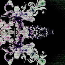 𝘾𝙧𝙤𝙨𝙨𝙧𝙤𝙖𝙙𝙨