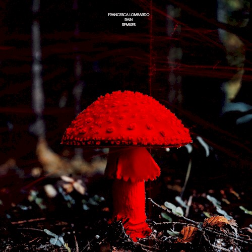 Rain (Remixes)