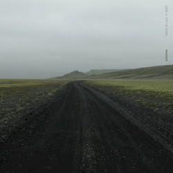 Wander
