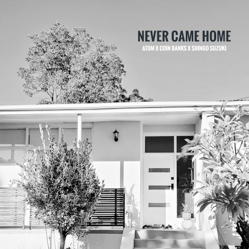 NEVER CAME HOME