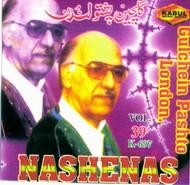 America Concert Pashto