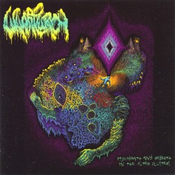 Mycodeath and Rebirth in the Outer Clusters