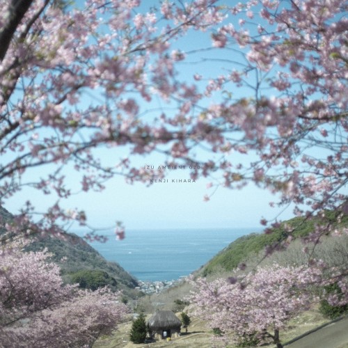 Izu Ambient 020