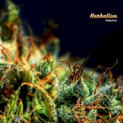 Herbalism