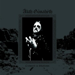 Crowned in Shadows