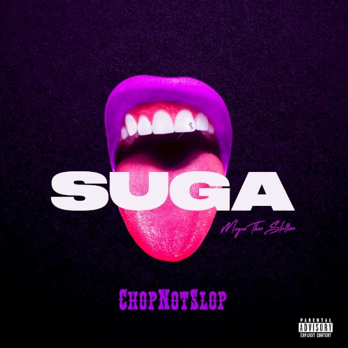 Suga (Chopnotslop remix)