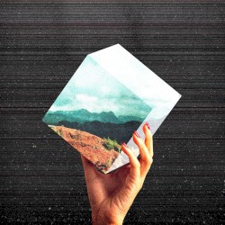 Insomnia