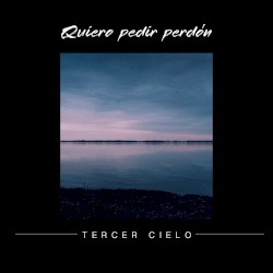 Quiero pedir perdón