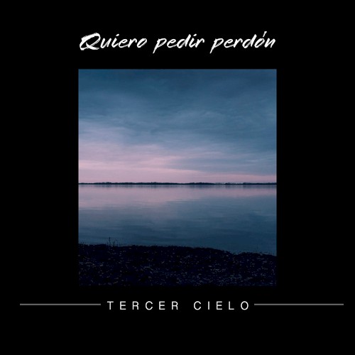Quiero pedir perdón