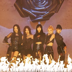 Poison Rose