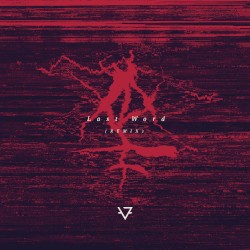 Last Word (Piotr Lniany Remix)