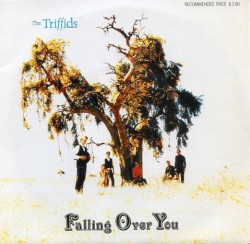 Falling Over You