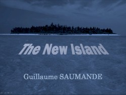 The New Island