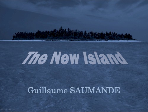 The New Island