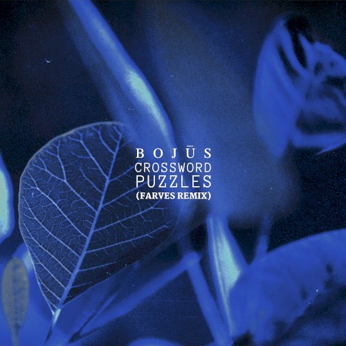 Crossword Puzzles (Farves remix)