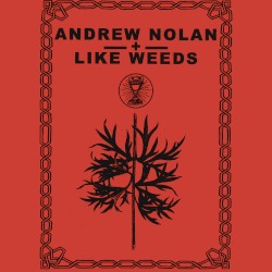 Andrew Nolan / Like Weeds