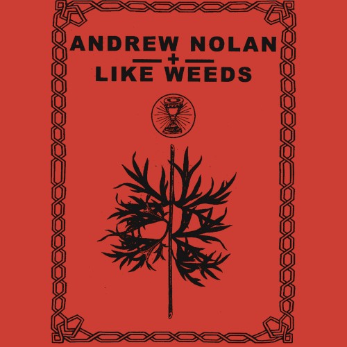 Andrew Nolan / Like Weeds