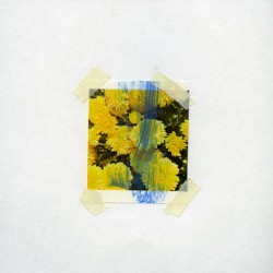 Feather Leaves / Vomiting up Flowers