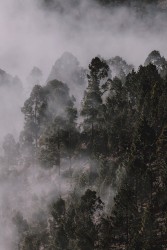 Desolate