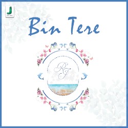 Bin Tere