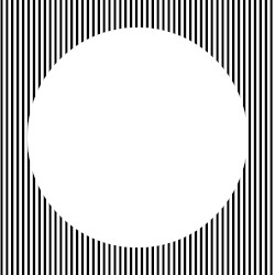 AA0019