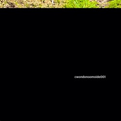 cwondonoomoide001 (Live)