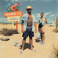 Zwanni 1,6