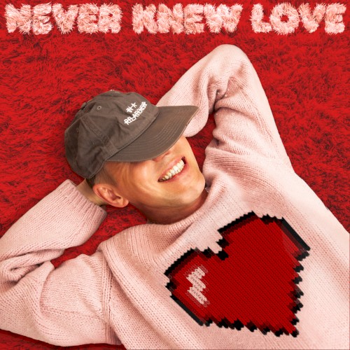 Never Knew Love