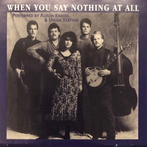 When You Say Nothing At All