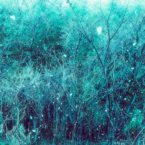snowflakes