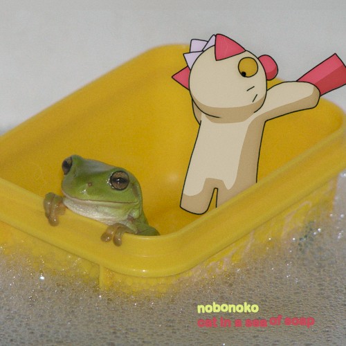 Cat in a Sea of Soap