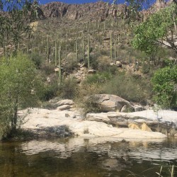 ArizonA