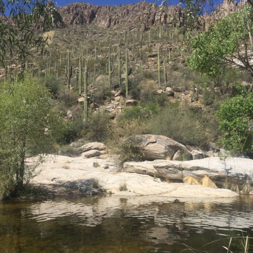 ArizonA
