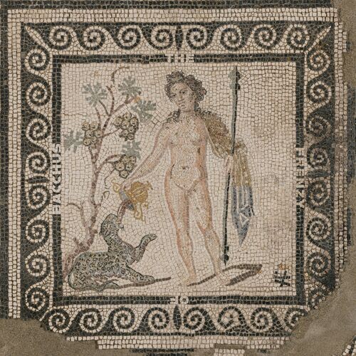 The Frenzy of Bacchus