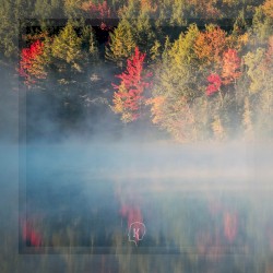 Seasons