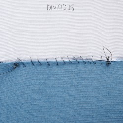 Divididos